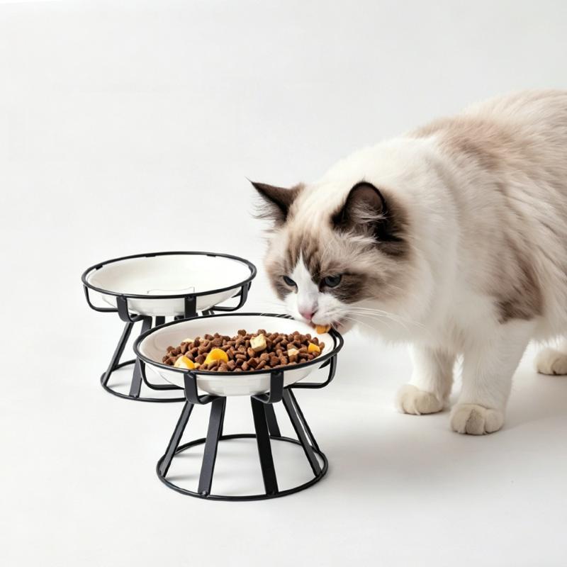 Soporte para alimentar comida  - Food Snacks Drinks reseña y precio
